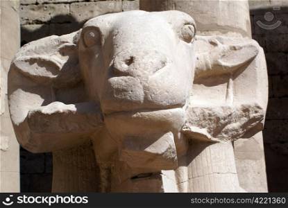 Head of sheep in Karnak temple in Luxor, Egypt