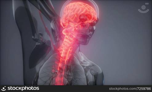 Head Pain Headache - Male Hurt Backbone