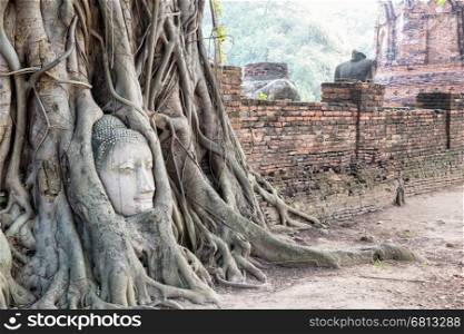 Head parts ruins of ancient buddha statue were covered up the roots of a banyan tree on the old wall at Wat Phra Mahathat temple in Phra Nakhon Si Ayutthaya Historical Park, Thailand