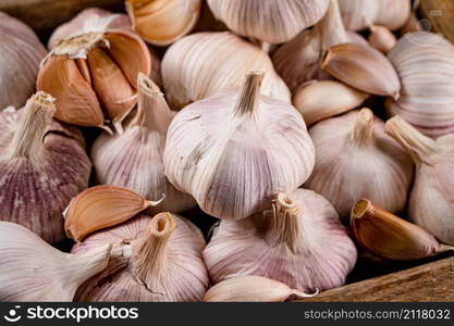 Heads of fresh garlic. Macro background. High quality photo. Heads of fresh garlic. Macro background.