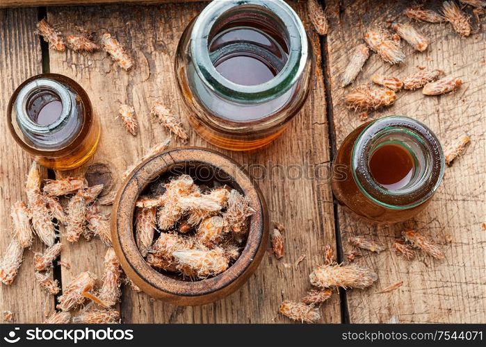 Healing decoction from pine kidneys.Dried pine buds.Medicinal tincture for colds.. Pine kidneys in folk medicine
