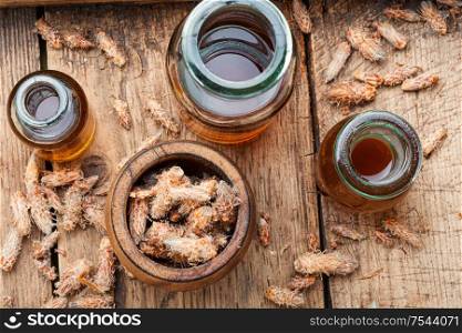 Healing decoction from pine kidneys.Dried pine buds.Medicinal tincture for colds.. Pine kidneys in folk medicine
