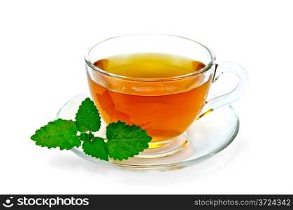 Healing herbal tea in a glass bowl with a sprig of lemon balm isolated on white background