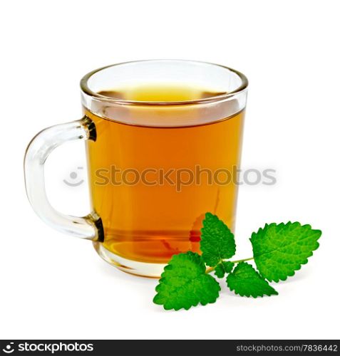 Healing herbal tea in a glass mug with a sprig of melissa isolated on white background