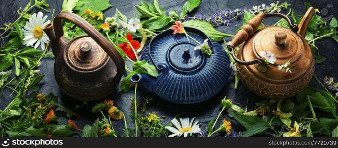 Healing herbal tea. Teapot with tea made from fresh wild herbs. Herbal medicine. Herbal tea.. Teapot with fresh medicinal herbs