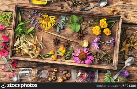 Healing herbs in wooden box. Medicinal herbs and plants in a wooden box.Natural medicine.Herbal medicine
