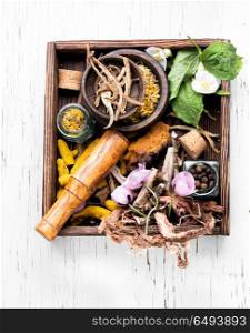 Healing herbs in wooden box. Natural herbal medicine,medicinal herbs and herbal medicinal root.Natural herbs medicine