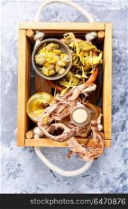 Healing herbs in wooden box. Natural herbal medicine,medicinal herbs and herbal medicinal tinctures