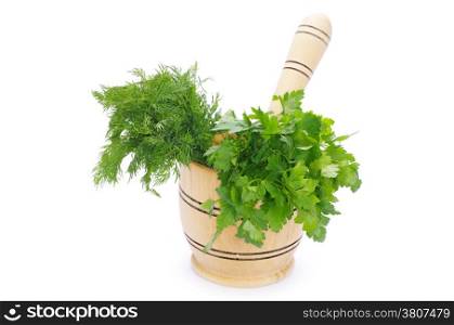 Healing herbs on white background