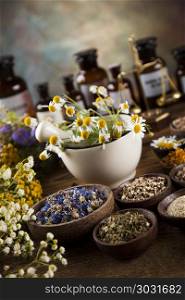 Healing herbs on wooden table, mortar and herbal medicine . Fresh medicinal, healing herbs on wooden