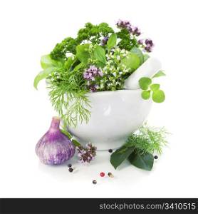 Healing herbs over white with copyspace
