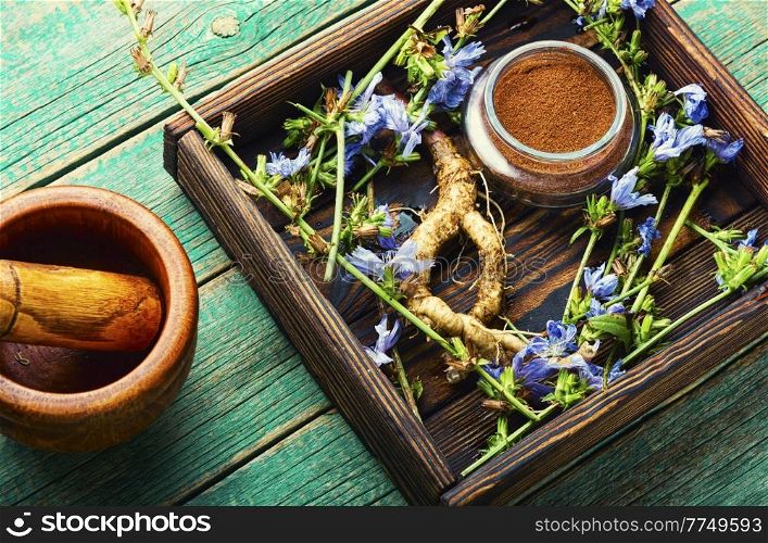 Healing herbs set, natural herbs medicine. Medicinal healing herbs. Healing herbs in herbal medicine