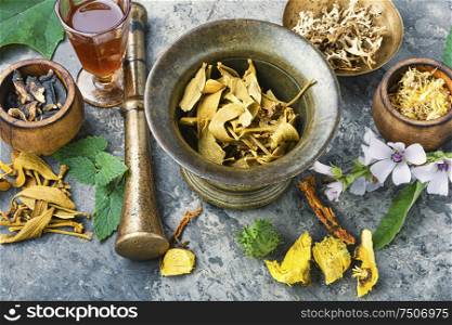 Healing herbs with mortar and bottle of elixir.Alternative or herbal medicine. Set healing herbs