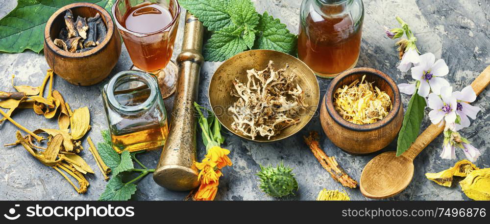 Healing herbs with mortar and bottle of elixir.Homeopathy medicine concept. Herbal naturopathic medicine