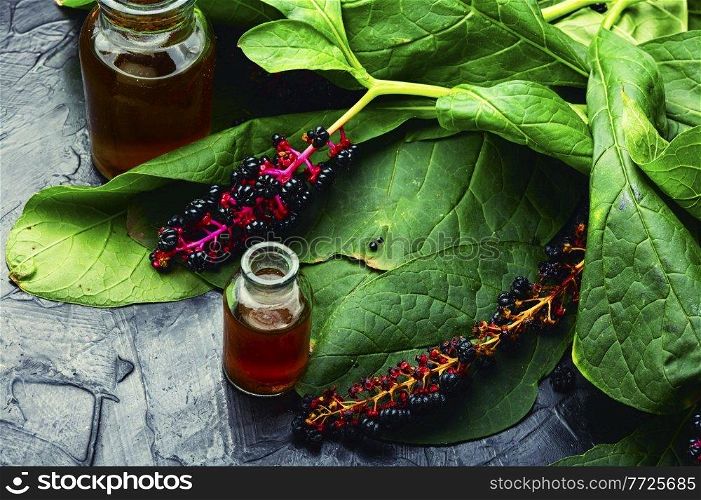 Healing tincture of lakonos,herbal medicine.Wild plant,homeopathic herbs. Inflorescence phytolacca in herbal medicine