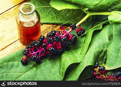 Healing tincture of lakonos,herbal medicine.Wild plant,phytolacca.Phytolacca american. Laconos in herbal medicine,homeopathic herbs