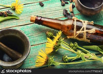 Healing tincture or mixture of elecampane roots. Elecampane in herbal medicine. Wild medicinal herbs. Elecampane root tincture