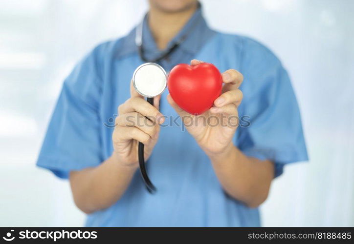 health care, heart disease concept, Doctor hold red heart in health care heart disease concept, health care, heart disease concept design for healthcare business background