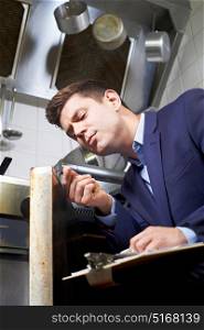Health Inspector Looking At Oven In Commercial Kitchen