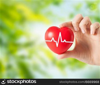 health, medicine, people and cardiology concept - close up of hand holding small red heart with cardiogram over green natural background. close up of hand holding red heart with cardiogram. close up of hand holding red heart with cardiogram