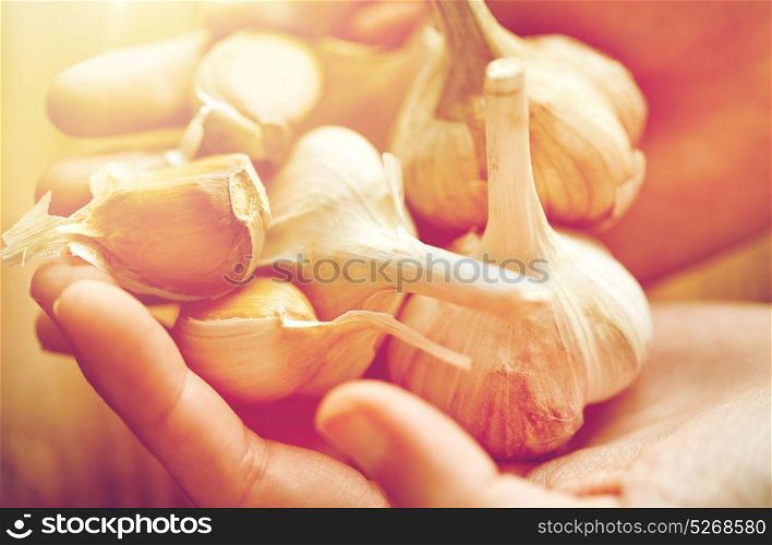 health, people, food, traditional medicine and ethnoscience concept - close up of woman hands holding garlic for cooking or healing. close up of woman hands holding garlic