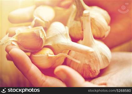 health, people, food, traditional medicine and ethnoscience concept - close up of woman hands holding garlic for cooking or healing. close up of woman hands holding garlic