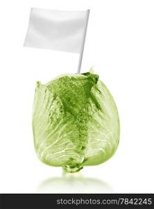 Healthy and organic food concept. Fresh green cabbage with flag showing the benefits or the price of fruits.. Healthy and organic food concept