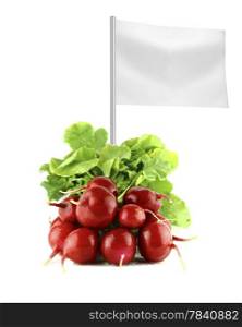 Healthy and organic food concept. Healthy and organic food concept. Fresh Radishes with flag showing the benefits or the price of fruits.