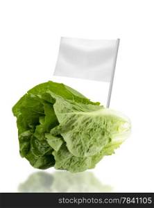 Healthy and organic food concept. Healthy and organic food concept. Fresh Romain Lettuce with flag showing the benefits or the price of fruits.