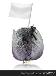 Healthy and organic food concept. Healthy and organic food concept. Fresh red cabbage with flag showing the benefits or the price of fruits.