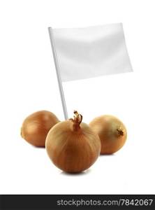 Healthy and organic food concept. Healthy and organic food concept. Fresh onion with flag showing the benefits or the price of fruits.