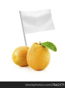 Healthy and organic food concept. Healthy and organic food concept. Fresh Orange with flag showing the benefits or the price of fruits.