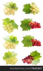 Healthy and organic food, Set of fresh green and red Grapes.