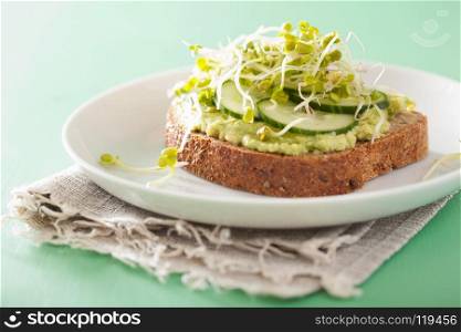 healthy avocado toast with cucumber radish sprouts