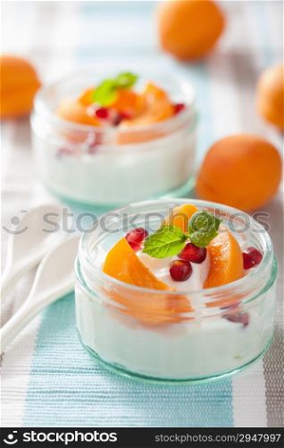 healthy breakfast with yogurt apricot pomegranate