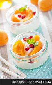 healthy breakfast with yogurt apricot pomegranate