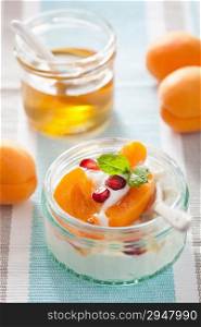 healthy breakfast with yogurt apricot pomegranate honey