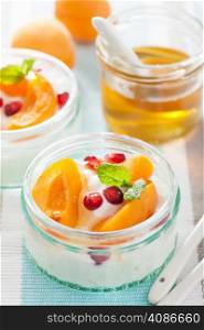 healthy breakfast with yogurt apricot pomegranate honey