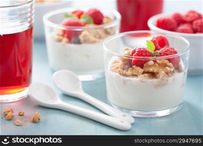 healthy breakfast with yogurt granola and raspberry