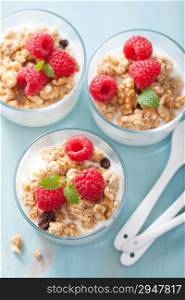 healthy breakfast with yogurt granola and raspberry