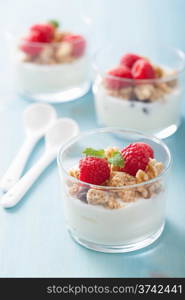 healthy breakfast with yogurt granola and raspberry