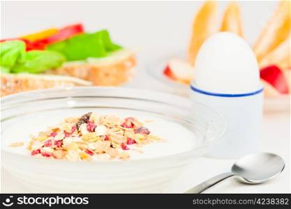 Healthy breakfast, yogurt and granola on the plate.
