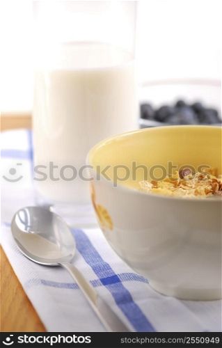 Healthy breaksfast of cereal, milk and blueberries