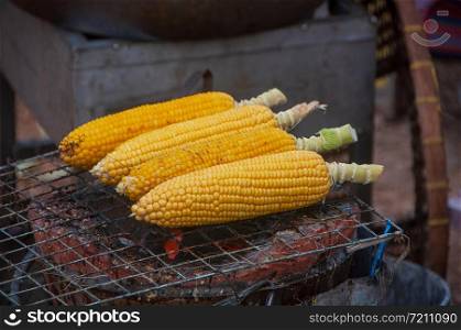 Healthy corncob on the grill outdoor