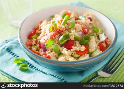 healthy couscous salad with tomato cucumber onion chives