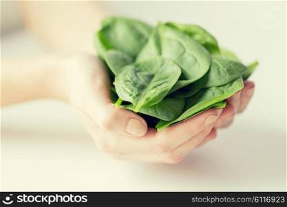 healthy eating, dieting, vegetarian food and people concept - close up of woman hands holding spinach at home