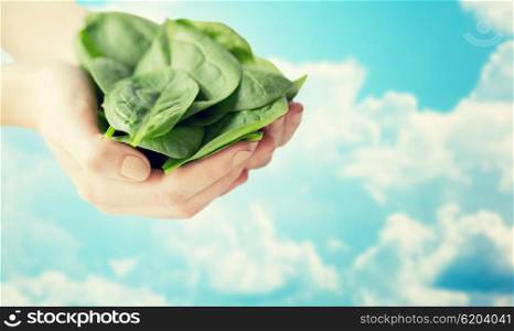 healthy eating, dieting, vegetarian food and people concept - close up of woman hands holding spinach over blue sky and clouds background