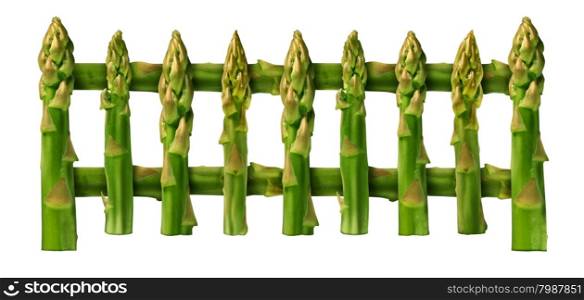 Healthy eating picket fence border design element isolated on a white background as a group of asparagus vegetables as for good nutrition and fit lifestyle or blocking disease through natural food.