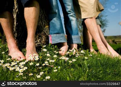 Healthy feet series: feet of men and women of different ages in the grass with daisies, all in a row