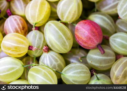 healthy food - background of gooseberry